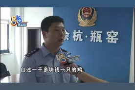 千元身价的斗鸡，“住300方花园”的猫，都丢了图片