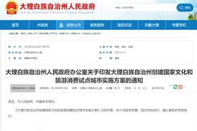 大理白族自治州人民政府发布《关于印发大理州提出创建国家文化和旅游消费试点城市实施方案的通知》的文件图片