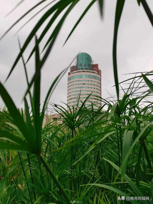 南充北湖公园的前世今生