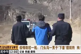 关于保护野生动物的那些事儿~（文末有彩蛋）图片