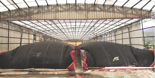 畜禽养殖场固体粪便处理工艺知多少？快看看哪些适合你的场