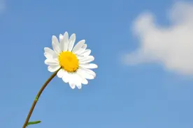 当一个男人开始和你深夜聊天图片