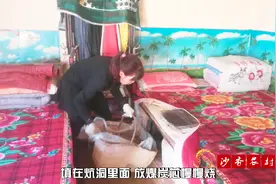 农村大妈羊粪变废为宝，冬天烧土炕睡觉，腰不酸腿不痛比药还管用