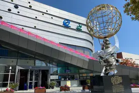 行进中的海派文化百宝箱｜名品篇——红双喜乒乓球(DHS PINGPANG)图片