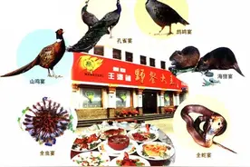 黑水虻虻链循环之《记者追踪：训养的鹧鸪》图片