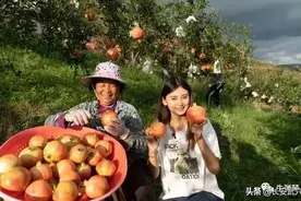这场战役我们赢了！图片