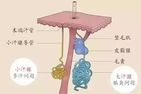 体臭女生，有点崩溃图片