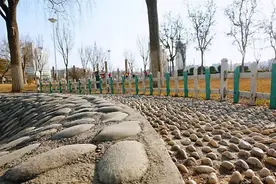 春暖花开 为你而来图片