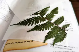 看一眼就会！这样DIY，装饰画谁还用得着买啊图片