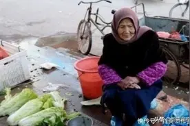 想起那年大白菜，泪水止不住流出来图片