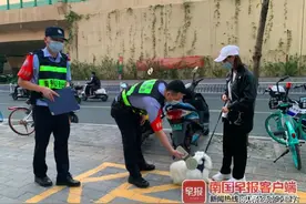 这样养犬，罚！图片