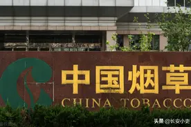 烟草系统招聘人员，哪些专业的毕业生更有机会进入烟草公司工作？图片