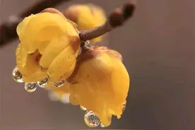 55岁保安：和王姐搭伙过日子两年，突然多了个孙子我还要继续吗图片