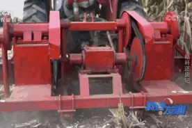 谁发明的这个神器，粉碎秸秆跟切菜一样简单！图片