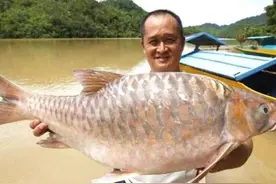 世界十大名贵淡水鱼排行图片
