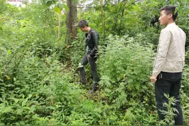 兴仁市薏品田园街道开展禁种踏勘工作图片