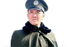 一次神奇选角，两版《红日》对比，张灵甫还可以，石东根绝了图片