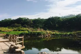 环湖12镇｜C位出道，800里巢湖唯一的“湖上绿洲”图片