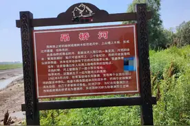 城子坦建湿地公园？有人倡议有人反对！饭碗比诗和远方重要得多图片