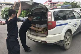 崇左水口边境派出所及时救助国家二级保护动物黑鸢图片