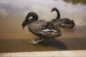 为什么以前人身体好图片