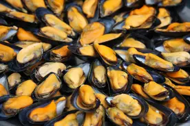 人类吃了那么多壮阳食物，为啥一点长进都没有？图片