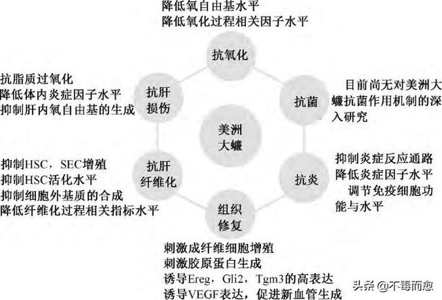 可药可食，“小强”也有大价值