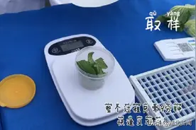 看“虫眼”来鉴别蔬菜农残靠谱吗？专家给出正解图片