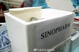 法国泰侨捐款2000万泰铢助老家小镇人民打疫苗图片
