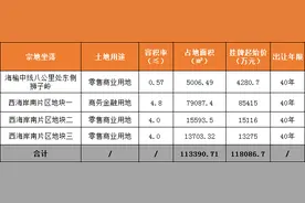 海口170亩地出让，起价约11.4亿！竞买人须世界500强图片