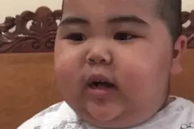 tatan表情包合集｜你就是个混蛋图片