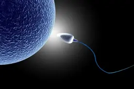 男性结扎后，还是正常男人吗？对健康有何影响？先弄清3个问题图片