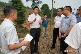 长宁县委书记调研竹景观大道项目建设图片