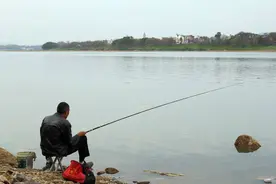 乌龟成精了？大爷嘉陵江钓起巨大乌龟，网友却说：外来货，不要放图片
