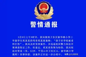 小学优等生被揪致头皮骨分离，河南名师被刑拘，母亲：他曾想50万私了图片