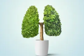 当呼吸化为空气图片