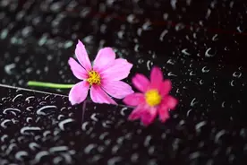 对你最后的爱，是识趣地离开图片