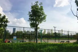 好消息！江夏中央大公园的运动场预计10月前后开放图片