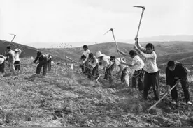 1976年，陕西老农挖地基时发现一堆人骨，8年后中央派来调查组图片