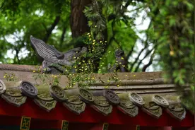湛山寺是中国最年轻的名刹之一，位于中国名城青岛图片