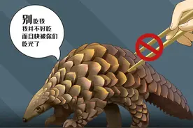 国际珍稀动物保护日|别墅区内私设菜馆，还有神秘隐藏菜单图片