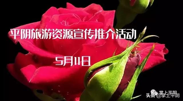 今天,平阴向全世界发出邀请!