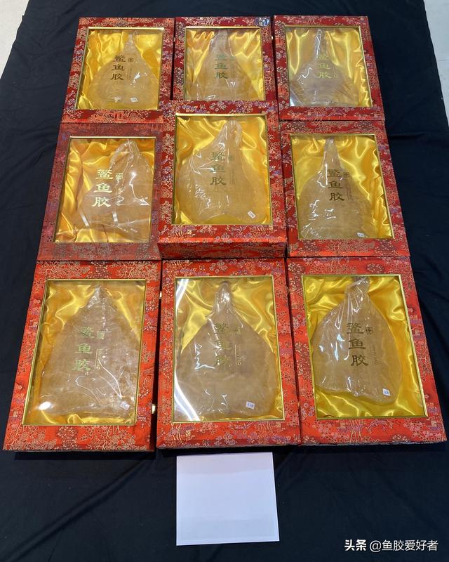 斗湖鱼胶图片大全 2025年斗湖鱼胶的功效和作用