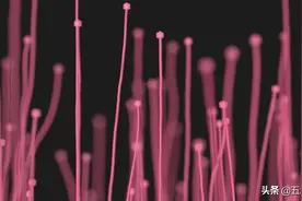 基础c4d教程：景深效果和物理渲染器图片