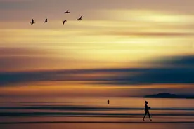 夜读 | 你比你想象的更自由图片