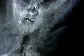 英国一妇女声称自6岁起遭外星人绑架52次，多次登上UFO图片