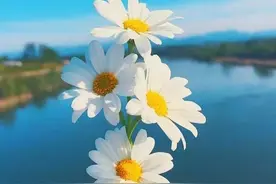 男人“冷”着你的时候，记住别“死磕”图片