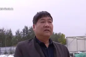 成安：小小黄豆酱 传承百年香图片