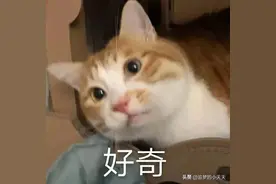 阜阳首次！重大突破！阜阳一中一个班6人获一等奖，他入选省队图片