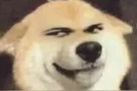 工作用的笔记本电脑一定要装什么办公软件？图片